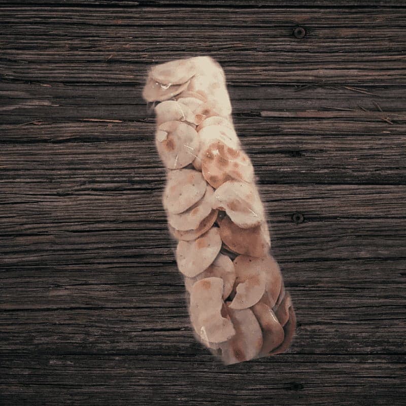 Galletas