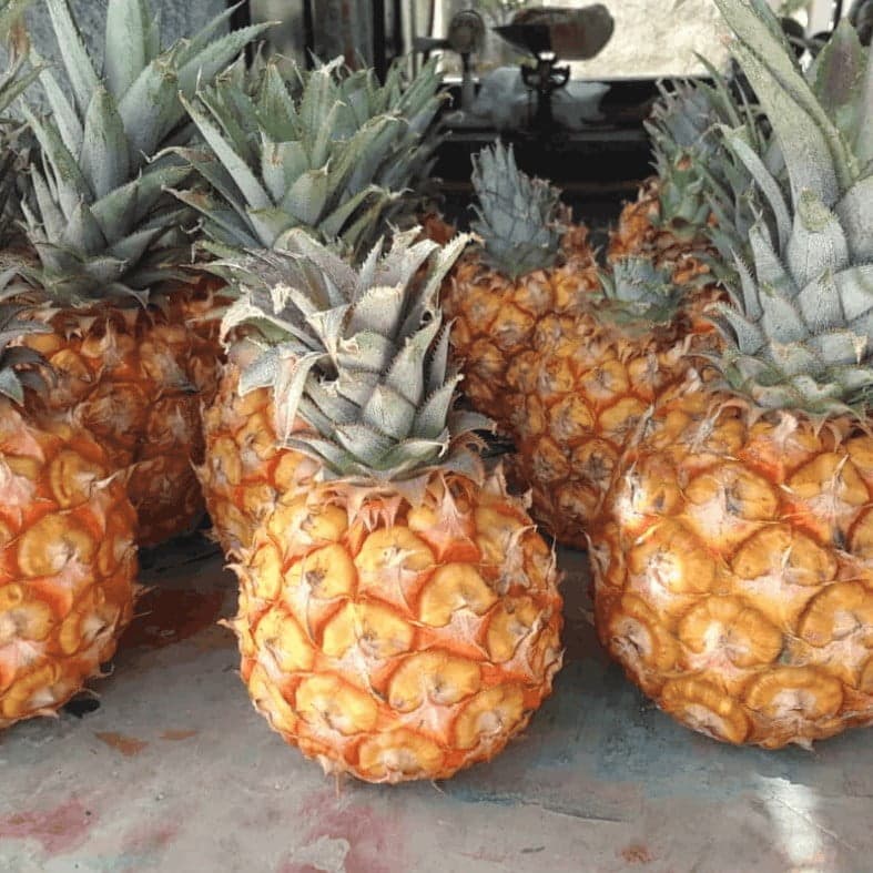 Seleccion de Frutas (10 lbs) - imagen 3