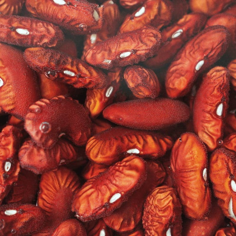 Frijoles (lbs) - imagen 2