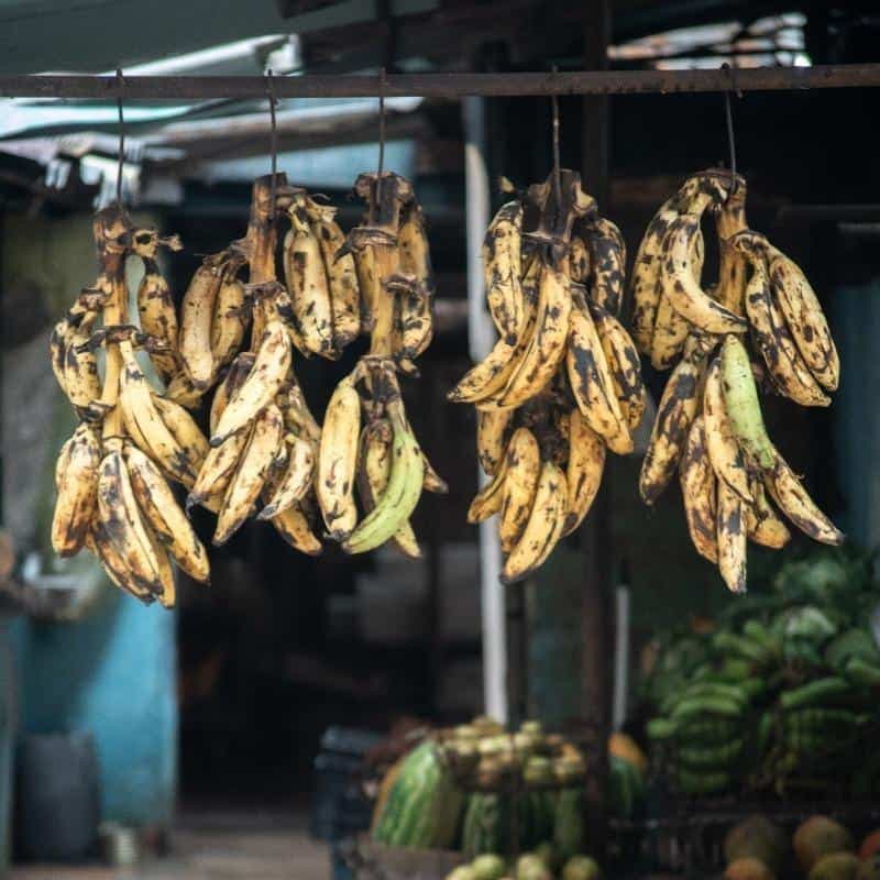 Platano Vianda (3 Unidades)
