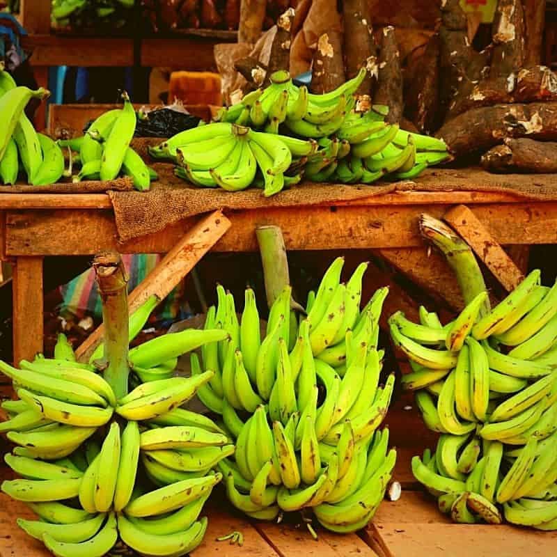 platano-macho-envios-cuba