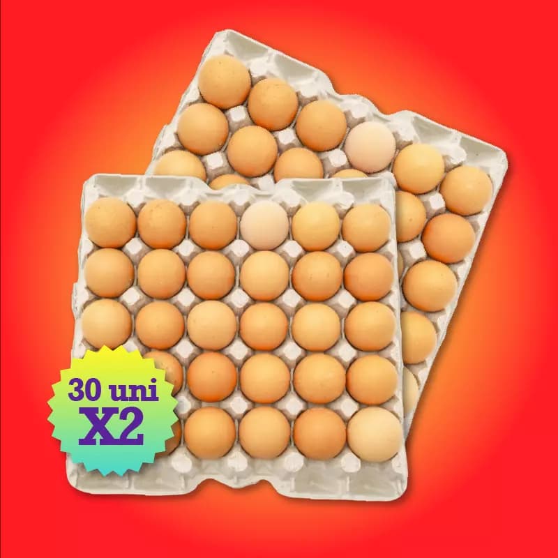 Huevos 30unid X2