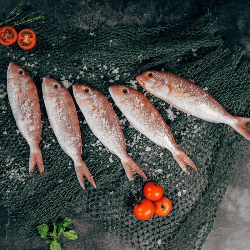 Paquete de rueda de pescado (5 lb)
