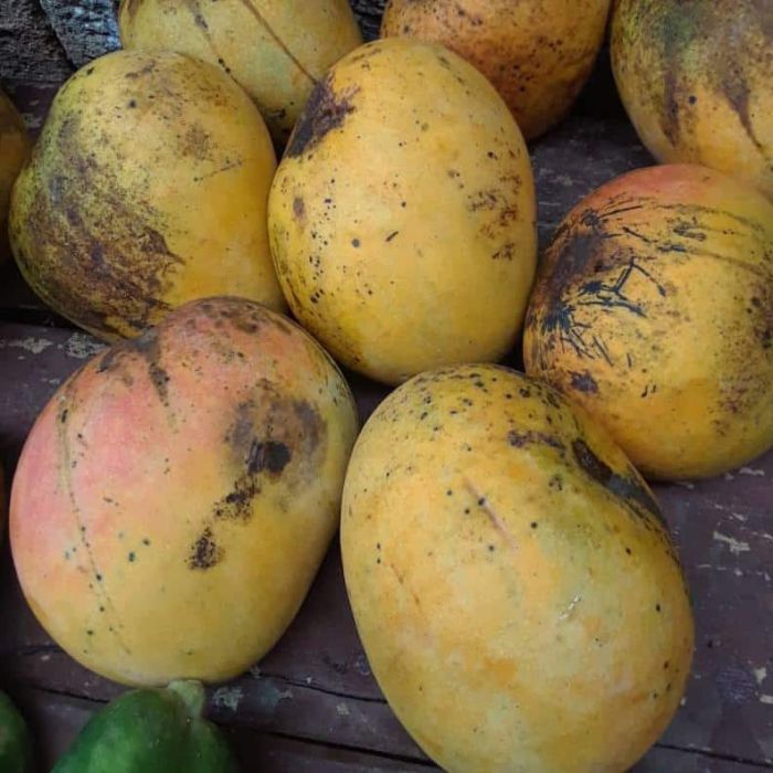 Selección de Frutas (10 lbs) - Matanzas - La Jabalina - Rápida y Segura.