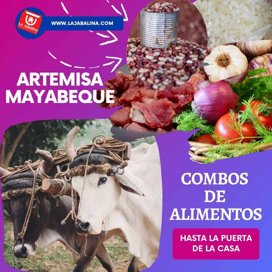 combos-de-alimentos-artemisa-mayabeque