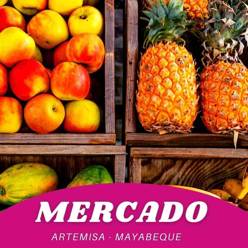 envios-de-comida-artemisa-mayabeque