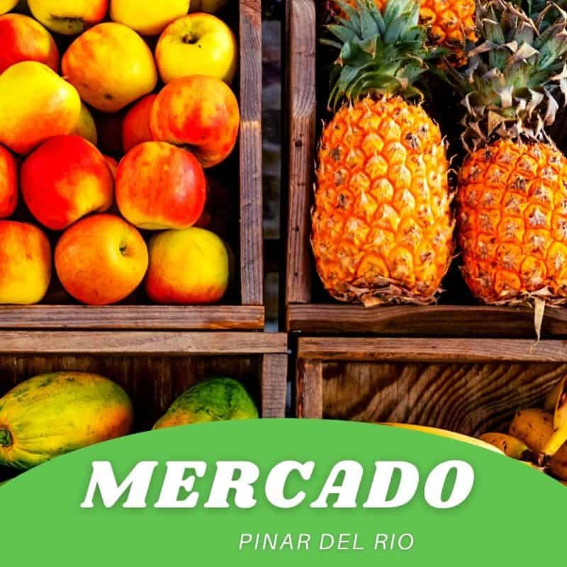 envios-de-comida-pinar-del-rio
