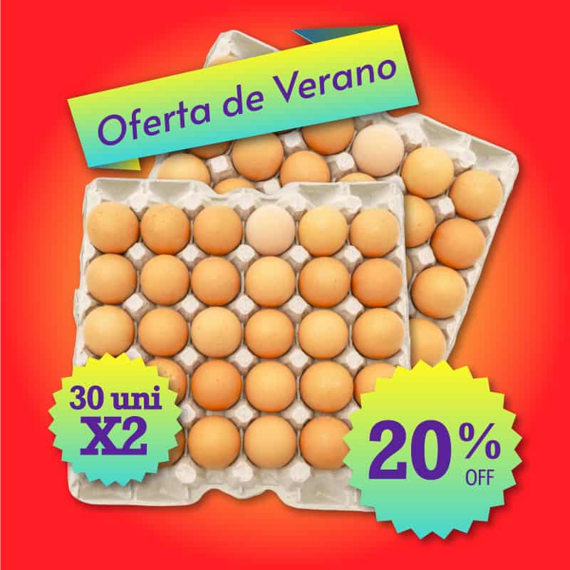 Cartón de huevos 30 unidades X2 - Oferta verano