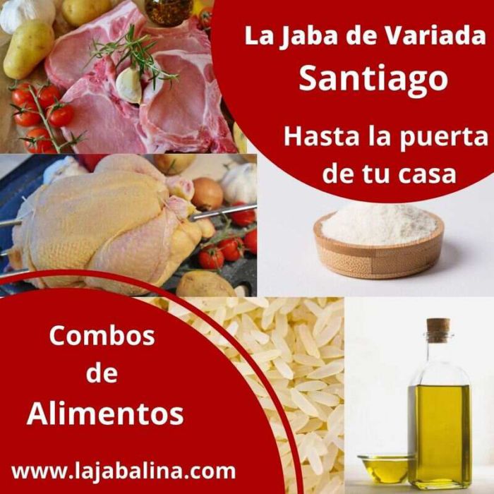 Variado-STGO