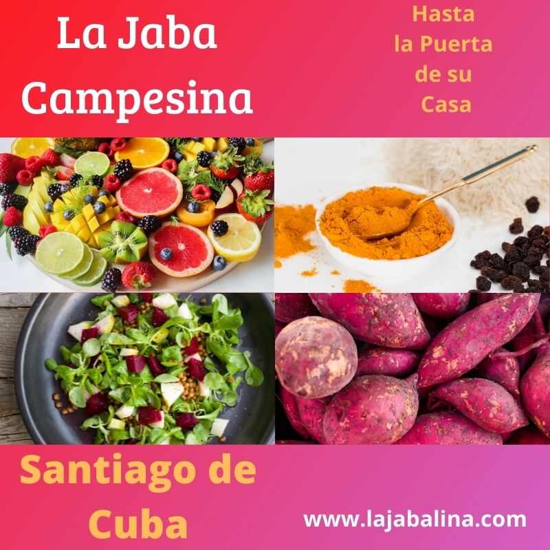 Campesina-Santiago