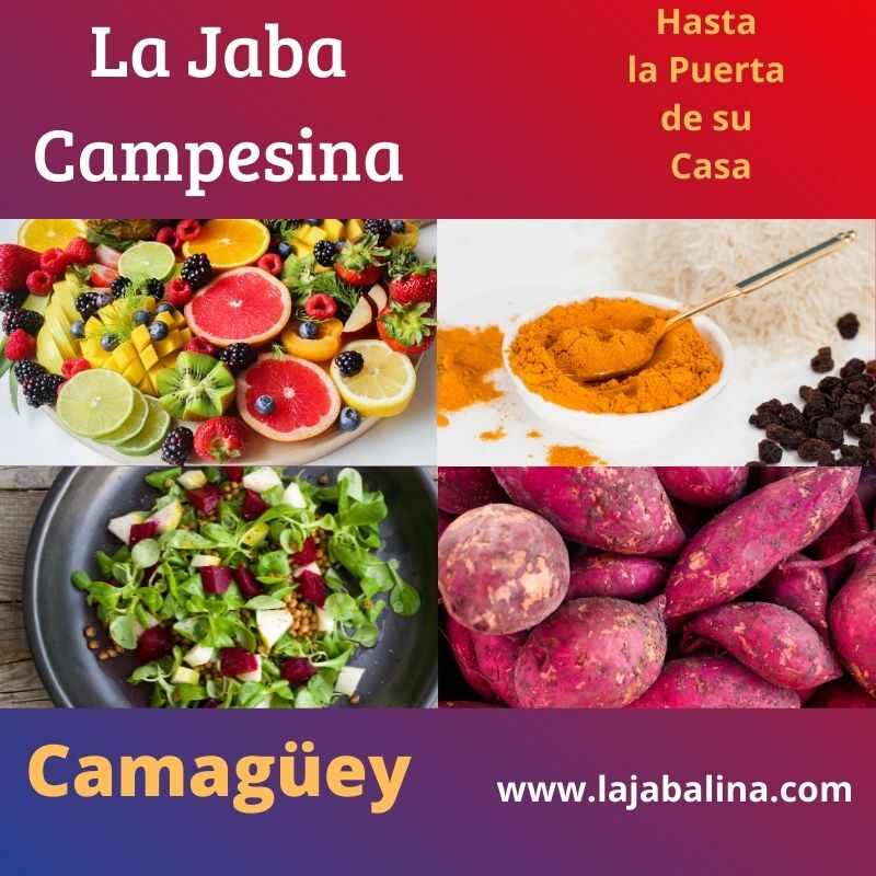 Campesina-camaguey