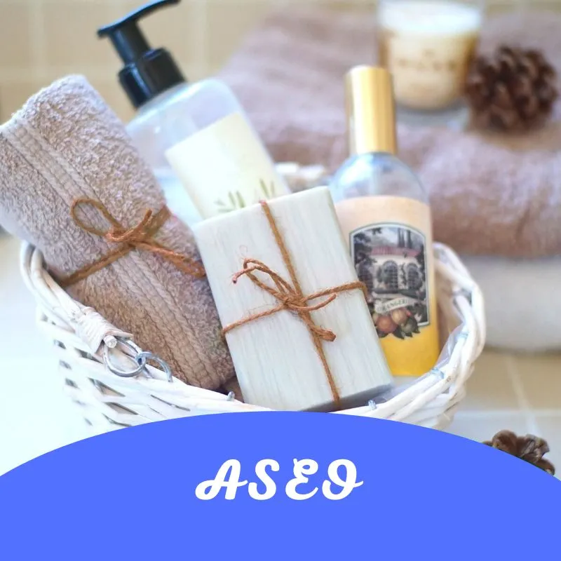 ASEO-hol